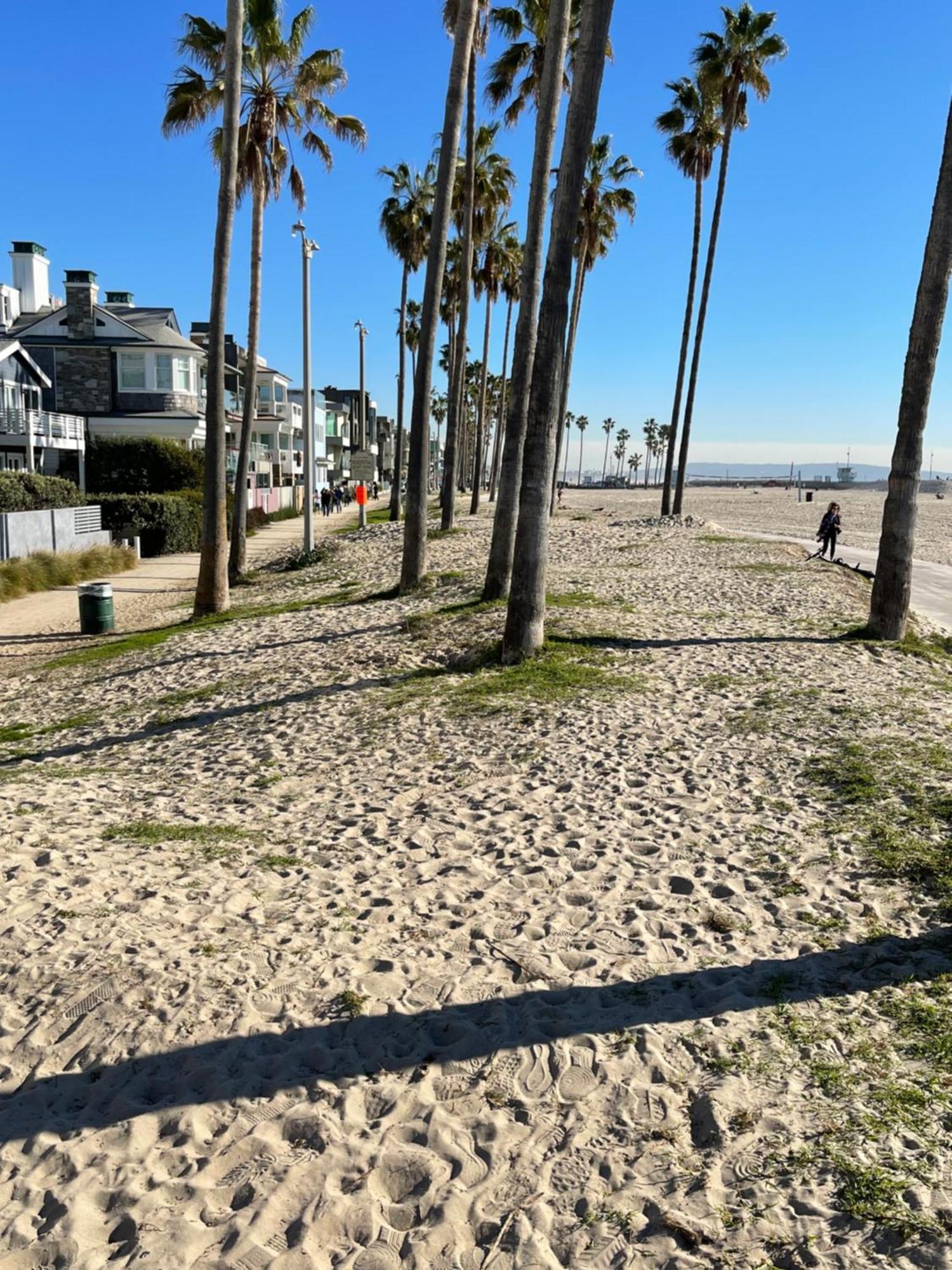House On The Beach Los Angeles Eksteriør bilde